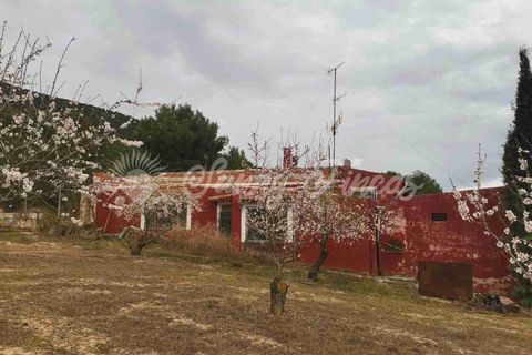 Landejendom i Yecla, Murcia, Yecla - € 119.995 | Ref: SF0443 - foto 37